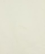 theory luxe（セオリーリュクス）スラックス 白 サイズ:36(S位) レディース/2200663778058