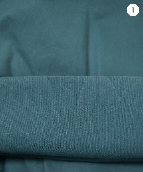 BACCA（バッカ）チノパン 緑 サイズ:32(M位) レディース/2200631344179