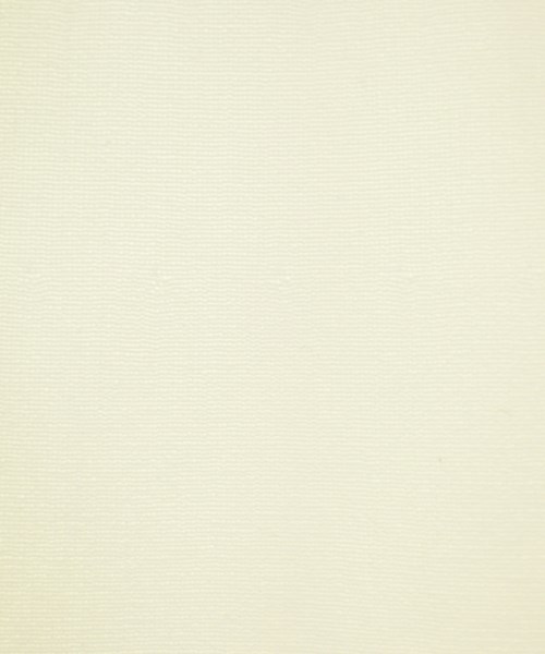 FRAMeWORK（フレームワーク）ロング・マキシ丈スカート 白 サイズ:38(M位) レディース/2200614996043