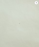 Drawer（ドロワー）ブラウス 白 サイズ:38(M位) レディース/2200610643057