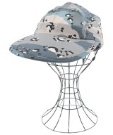 その他 キャップ