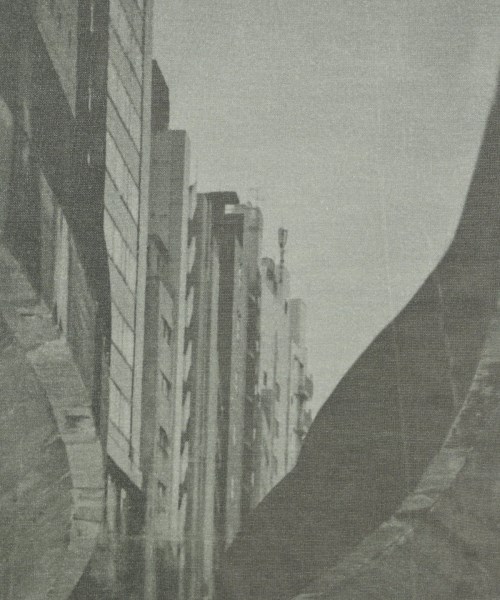 -（ソノタ）Tシャツ・カットソー 白 サイズ:F レディース/2200617490067