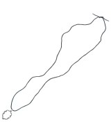 -（ソノタ）ネックレス シルバー サイズ:- レディース/2200703948601