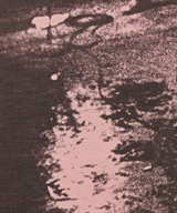 LAD MUSICIAN（ラッドミュージシャン）Tシャツ・カットソー ピンク サイズ:42(S位) メンズ/2200627801013