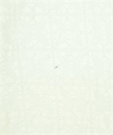 Aba house（アバハウス）カジュアルシャツ 白 サイズ:44(S位) メンズ/2200623031100