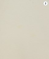 SLY（スライ）スウェット 白 サイズ:F レディース/2200641831027