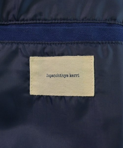 Inpaichthys Kerri（インパクティスケリー）その他 青 サイズ:S メンズ/2200623184042
