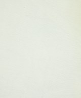 MUNICH（ミューニック）その他 白 サイズ:S レディース/2200683146080