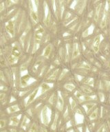 MARILYN MOON（マリリンムーン）ニット・セーター ベージュ サイズ:F レディース/2200655981022