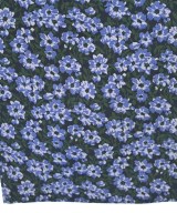 Simplicite（シンプリシテ）その他 青 サイズ:-(M位) レディース/2200615653013