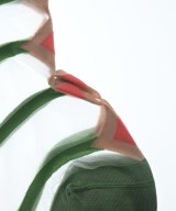 ANTIPAST（アンティパスト）小物類（その他） 緑 サイズ:- レディース/2200639054278