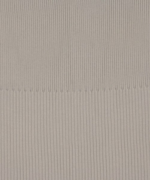 NOBLE（ノーブル）ロング・マキシ丈スカート グレー サイズ:-(M位) レディース/2200633000028