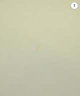 NOBLE（ノーブル）ブラウス 白 サイズ:-(XL位) レディース/2200691281025