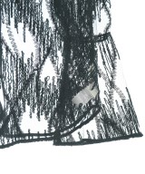 KBF（ケービーエフ）ブラウス 黒 サイズ:F レディース/2200670318063