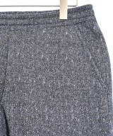 green label relaxing（グリーンレーベルリラクシング）その他 紫 サイズ:M メンズ/2200622060026