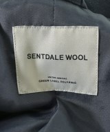 green label relaxing（グリーンレーベルリラクシング）その他 紺 サイズ:S メンズ/2200653317014