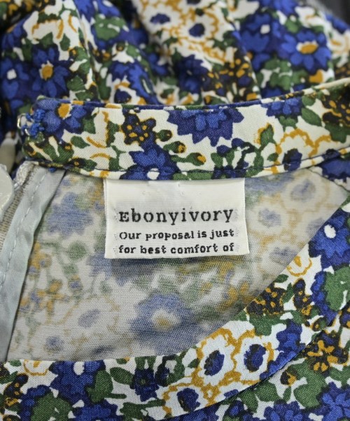 Ebonyivory（エボニーアイボリー）ワンピース 白 サイズ:F レディース/2200629710153