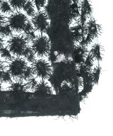 TORRAZZO DONNA（トラッゾドンナ）カジュアルシャツ 黒 サイズ:F レディース/2200642656018