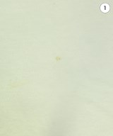 HYSTERIC GLAMOUR（ヒステリックグラマー）Tシャツ・カットソー 白 サイズ:M メンズ/2200643652705