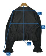 Picrine（ピクリン）ブラウス 黒 サイズ:F レディース/2200663377107