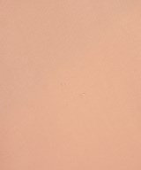 beautiful people（ビューティフルピープル）カジュアルシャツ ピンク サイズ:34(XS位) レディース/2200699330039