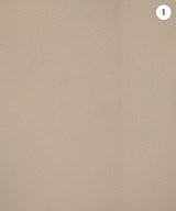 Tiara（ティアラ）スラックス ベージュ サイズ:4(XL位) レディース/2200626924027