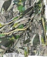 EPICE（エピス）ストール 緑 サイズ:- レディース/2200643830172