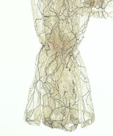 MERCURYDUO（マーキュリーデュオ）ブラウス ベージュ サイズ:F レディース/2200669586114