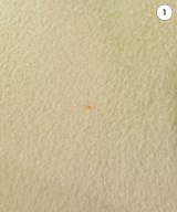 SNIDEL（スナイデル）チェスターコート ベージュ サイズ:0(S位) レディース/2200640477011