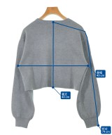 SNIDEL（スナイデル）その他 グレー サイズ:F レディース/2200664071035