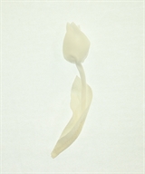 MUVEIL（ミュベール）Tシャツ・カットソー 白 サイズ:40(M位) レディース/2200619574109