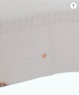 gelato pique（ジェラートピケ）Tシャツ・カットソー グレー サイズ:F レディース/2200715130025