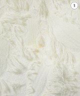 BEAMS Lights（ビームスライツ）ブラウス 白 サイズ:38(M位) レディース/2200672195174