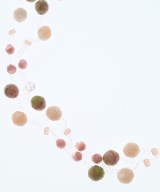 Milly Callegari（ミリィカレガリ）ネックレス ピンク サイズ:- レディース/2200651887090