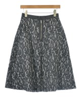 CLEAR IMPRESSION（クリアインプレッション）ロング・マキシ丈スカート 黒 サイズ:-(M位) レディース/2200614596038