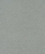 steven alan（スティーブンアラン）スウェット 青 サイズ:F レディース/2200640903046