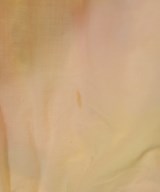 Sea NEW YORK（シーニューヨーク）その他 ベージュ サイズ:XS レディース/2200719044014