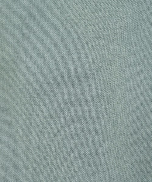 SLOBE IENA（スローブイエナ）その他 緑 サイズ:38(M位) レディース/2200621804119