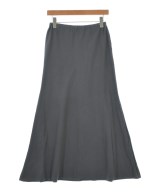 SLOBE IENA（スローブイエナ）ロング・マキシ丈スカート グレー サイズ:-(S位) レディース/2200623491065