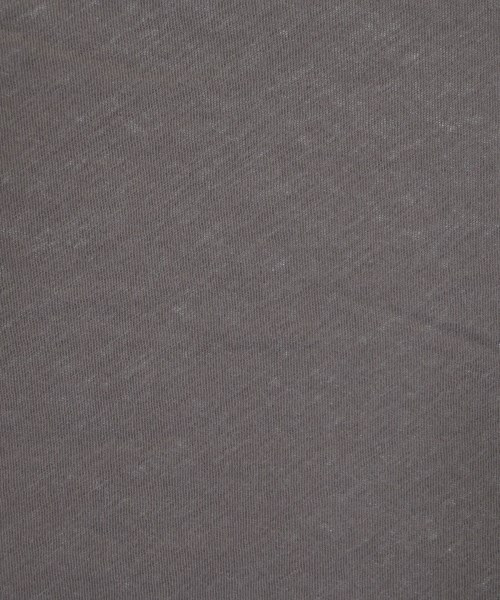 SLOBE IENA（スローブイエナ）Tシャツ・カットソー グレー サイズ:-(M位) レディース/2200633265083