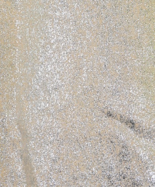 SLOBE IENA（スローブイエナ）ロング・マキシ丈スカート シルバー サイズ:-(M位) レディース/2200626434038