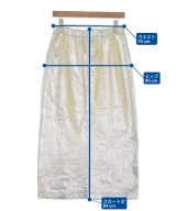 SLOBE IENA（スローブイエナ）ロング・マキシ丈スカート シルバー サイズ:-(M位) レディース/2200626434038