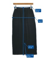 SLOBE IENA（スローブイエナ）ロング・マキシ丈スカート 黒 サイズ:-(M位) レディース/2200630461068