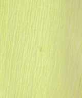 SLOBE IENA（スローブイエナ）カジュアルシャツ 緑 サイズ:F レディース/2200619178031