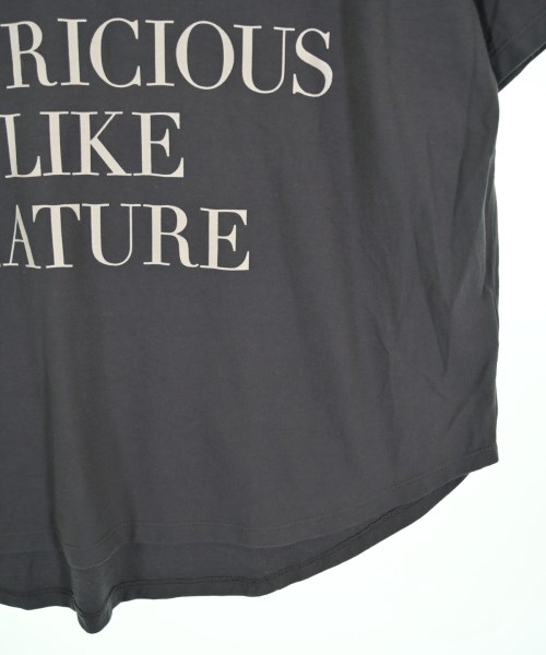 SLOBE IENA（スローブイエナ）Tシャツ・カットソー グレー サイズ:F レディース/2200709829058