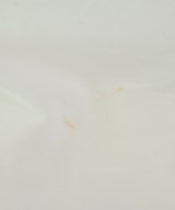 SLOBE IENA（スローブイエナ）ブラウス 白 サイズ:F レディース/2200662877080