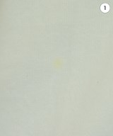 UNITED ARROWS（ユナイテッドアローズ）Tシャツ・カットソー 白 サイズ:F レディース/2200623344057