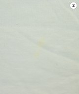 UNITED ARROWS（ユナイテッドアローズ）Tシャツ・カットソー 白 サイズ:F レディース/2200623344057