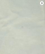 UNITED ARROWS（ユナイテッドアローズ）Tシャツ・カットソー 白 サイズ:F レディース/2200623344057