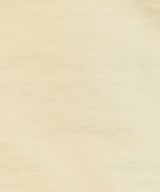 SHIPS（シップス）その他 ベージュ サイズ:36(S位) レディース/2200670837014